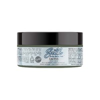 Dixie Belle Cactus Silk Mineral Paint - 4 oz