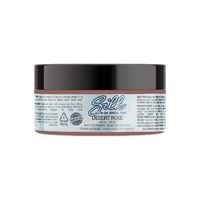 Dixie Belle Desert Rose Silk Mineral Paint - 4 oz